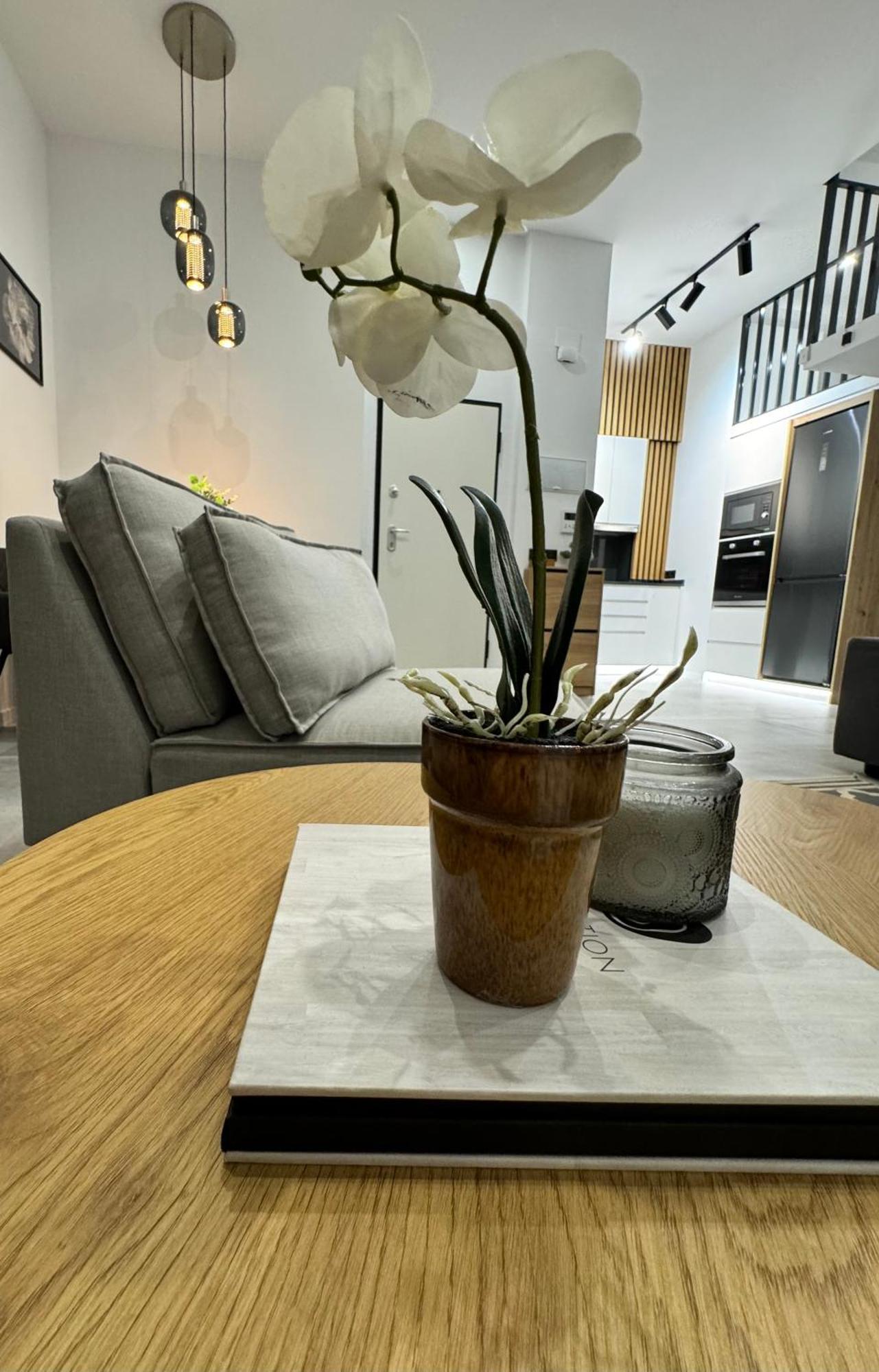 Apartment Bonita B5
